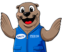 chonkers sea lion plush